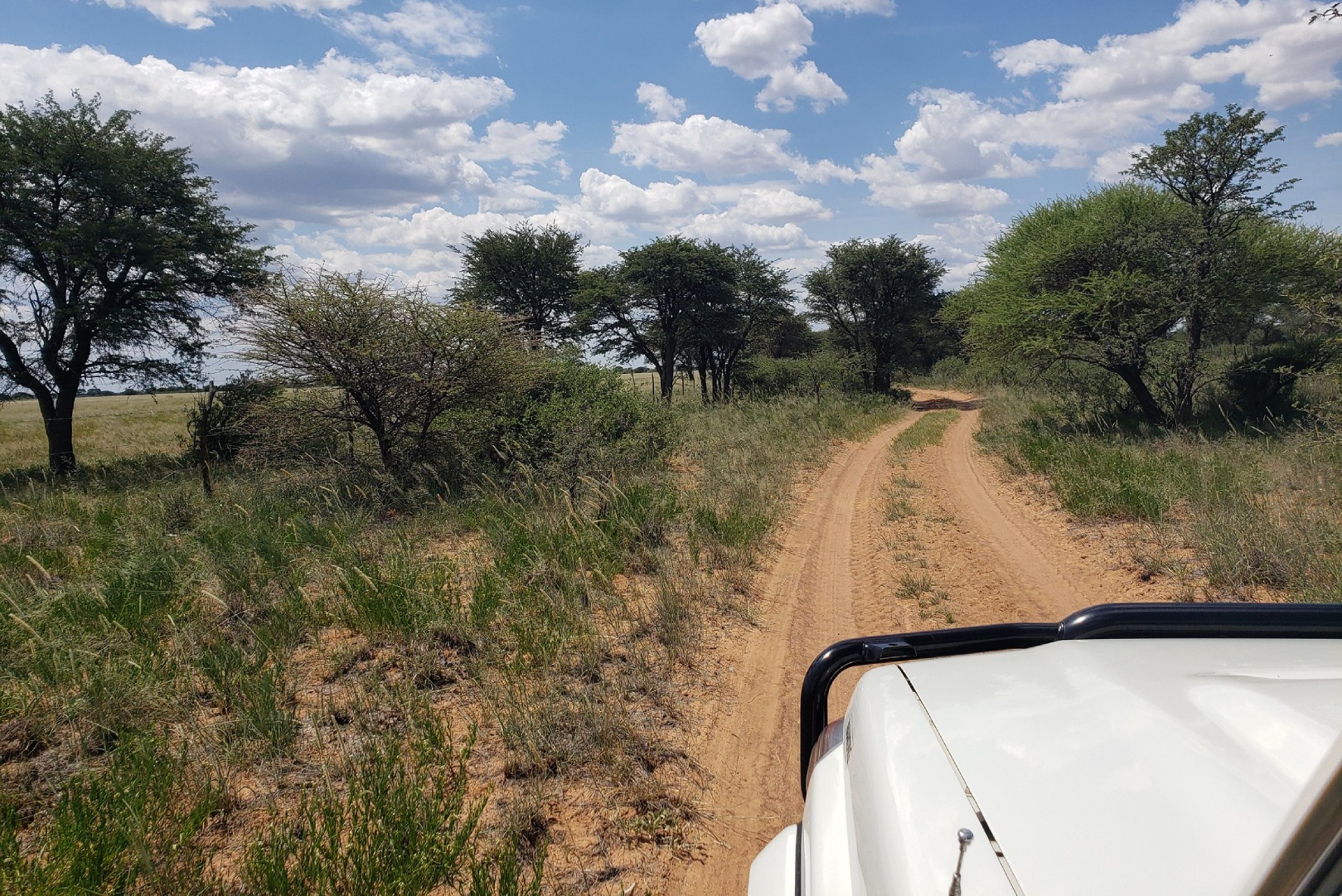 Truck in Botswana