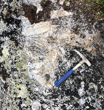Spodumene (lithium silicate) megacrysts found the at SD4 Pegmatite, LDG Project.